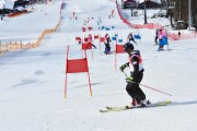 Baltijas kauss 2018 2.posms, Elites FIS PSL, Foto: E.Lukšo