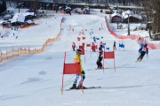 Baltijas kauss 2018 2.posms, Elites FIS PSL, Foto: E.Lukšo