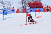 Baltijas kauss 2018 2.posms, Elites FIS PSL, Foto: E.Lukšo