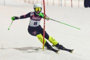 Baltijas kauss 2019 1.posms, FIS paralēlais slaloms, Foto: E.Lukšo