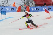 Baltijas kauss 2018 2.posms, Elites FIS PSL, Foto: E.Lukšo