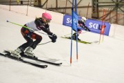 Baltijas kauss 2019 1.posms, FIS paralēlais slaloms, Foto: E.Lukšo