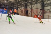 Baltijas kauss 2019 1.posms, FIS paralēlais slaloms, Foto: E.Lukšo