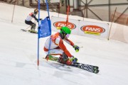 Baltijas kauss 2019 1.posms, FIS paralēlais slaloms, Foto: E.Lukšo