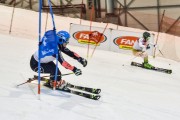 Baltijas kauss 2019 1.posms, FIS paralēlais slaloms, Foto: E.Lukšo