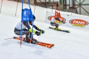 Baltijas kauss 2019 1.posms, FIS paralēlais slaloms, Foto: E.Lukšo