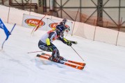 Baltijas kauss 2019 1.posms, FIS paralēlais slaloms, Foto: E.Lukšo