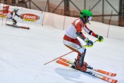 Baltijas kauss 2019 1.posms, FIS paralēlais slaloms, Foto: E.Lukšo