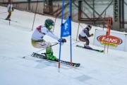 Baltijas kauss 2019 1.posms, FIS paralēlais slaloms, Foto: E.Lukšo