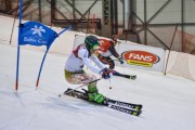 Baltijas kauss 2019 1.posms, FIS paralēlais slaloms, Foto: E.Lukšo