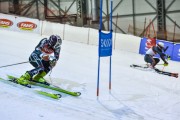 Baltijas kauss 2019 1.posms, FIS paralēlais slaloms, Foto: E.Lukšo