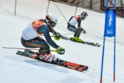 Baltijas kauss 2019 1.posms, FIS paralēlais slaloms, Foto: E.Lukšo