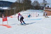 Baltijas kauss 2018 2.posms, Elites FIS PSL, Foto: E.Lukšo