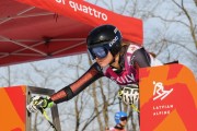 Baltijas kauss 2018 2.posms, Elites FIS PSL, Foto: E.Lukšo