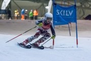 Baltijas kauss 2019 1.posms, jauniešu un meistaru paralēlais slaloms, Foto: E.Lukšo