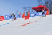 Baltijas kauss 2018 2.posms, Elites FIS PSL, Foto: E.Lukšo