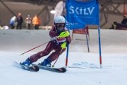 Baltijas kauss 2019 1.posms, jauniešu un meistaru paralēlais slaloms, Foto: E.Lukšo