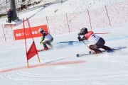 Baltijas kauss 2018 2.posms, Elites FIS PSL, Foto: E.Lukšo