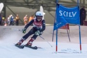 Baltijas kauss 2019 1.posms, jauniešu un meistaru paralēlais slaloms, Foto: E.Lukšo