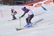 Baltijas kauss 2018 2.posms, Elites FIS PSL, Foto: E.Lukšo