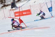 Baltijas kauss 2018 2.posms, Elites FIS PSL, Foto: E.Lukšo