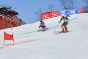 Baltijas kauss 2018 2.posms, Elites FIS PSL, Foto: E.Lukšo