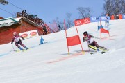 Baltijas kauss 2018 2.posms, Elites FIS PSL, Foto: E.Lukšo