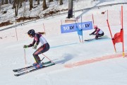 Baltijas kauss 2018 2.posms, Elites FIS PSL, Foto: E.Lukšo