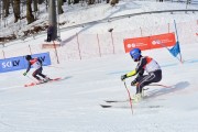 Baltijas kauss 2018 2.posms, Elites FIS PSL, Foto: E.Lukšo