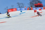 Baltijas kauss 2018 2.posms, Elites FIS PSL, Foto: E.Lukšo