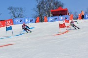 Baltijas kauss 2018 2.posms, Elites FIS PSL, Foto: E.Lukšo