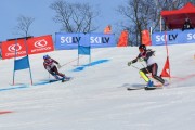 Baltijas kauss 2018 2.posms, Elites FIS PSL, Foto: E.Lukšo