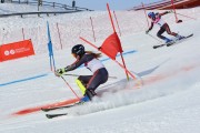 Baltijas kauss 2018 2.posms, Elites FIS PSL, Foto: E.Lukšo