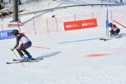 Baltijas kauss 2018 2.posms, Elites FIS PSL, Foto: E.Lukšo