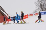 FIS Latvijas kauss 1.posms, pieaugušo milzu slaloms, Foto: E.Lukšo