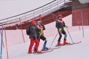 FIS Latvijas kauss 1.posms, NJR un ENL slaloms, Foto: E.Lukšo