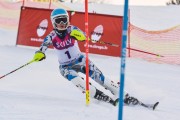 FIS Latvijas kauss 1.posms, NJR un ENL slaloms, Foto: E.Lukšo