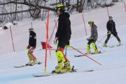 FIS Latvijas kauss 1.posms, NJR un ENL slaloms, Foto: E.Lukšo