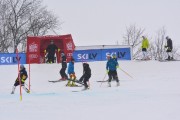 FIS Latvijas kauss 1.posms, NJR un ENL slaloms, Foto: E.Lukšo