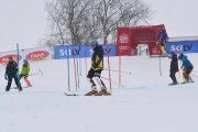 FIS Latvijas kauss 1.posms, NJR un ENL slaloms, Foto: E.Lukšo