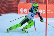 Baltijas kauss 2018 2.posms, Elites FIS slaloms, Foto: E.Lukšo