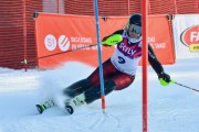 Baltijas kauss 2018 2.posms, Elites FIS slaloms, Foto: E.Lukšo