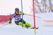 FIS Latvijas kauss 1.posms, NJR un ENL slaloms, Foto: E.Lukšo