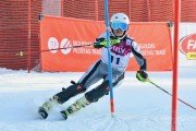 Baltijas kauss 2018 2.posms, Elites FIS slaloms, Foto: E.Lukšo