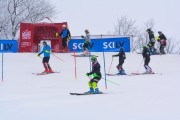 FIS Latvijas kauss 1.posms, NJR un ENL slaloms, Foto: E.Lukšo