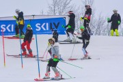 FIS Latvijas kauss 1.posms, NJR un ENL slaloms, Foto: E.Lukšo