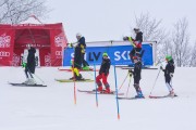 FIS Latvijas kauss 1.posms, NJR un ENL slaloms, Foto: E.Lukšo