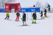 FIS Latvijas kauss 1.posms, NJR un ENL slaloms, Foto: E.Lukšo