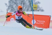 FIS Latvijas kauss 1.posms, NJR un ENL slaloms, Foto: E.Lukšo