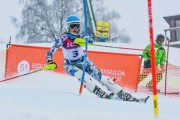 FIS Latvijas kauss 1.posms, NJR un ENL slaloms, Foto: E.Lukšo